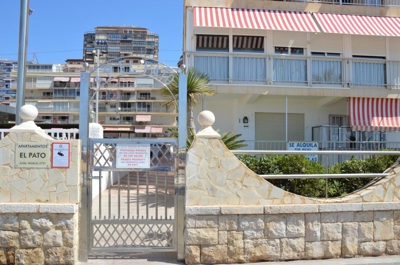 El Pato Primera Linea Benidorm Exterior photo